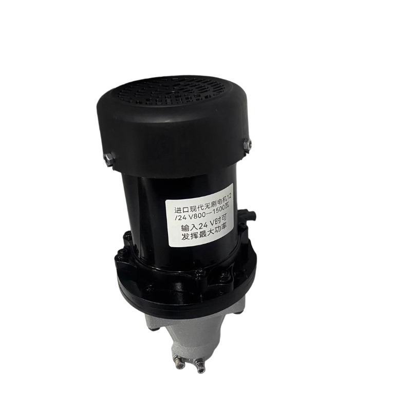 12-60V 500-1500W Brushless Out - đánh giá và giá Fishing Boat Outboard Motor